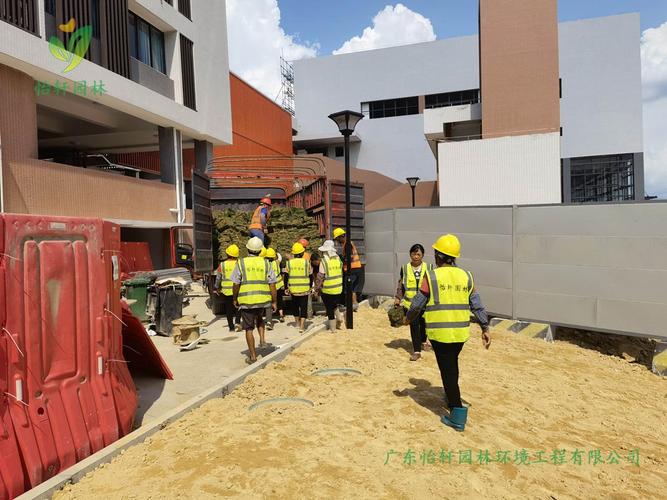 广州市增城区新桥小学绿化工程扩建施工承包项目